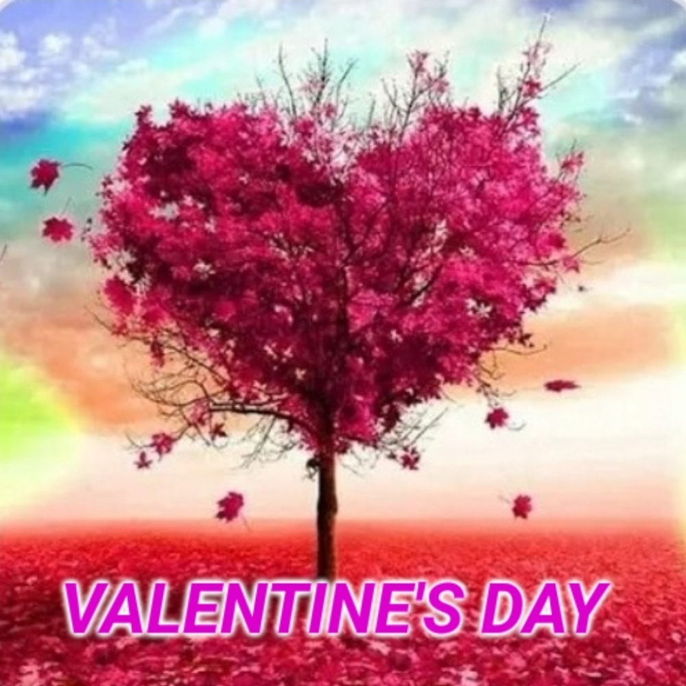 🩷❤️Valentine's Day Decor❤️🩷